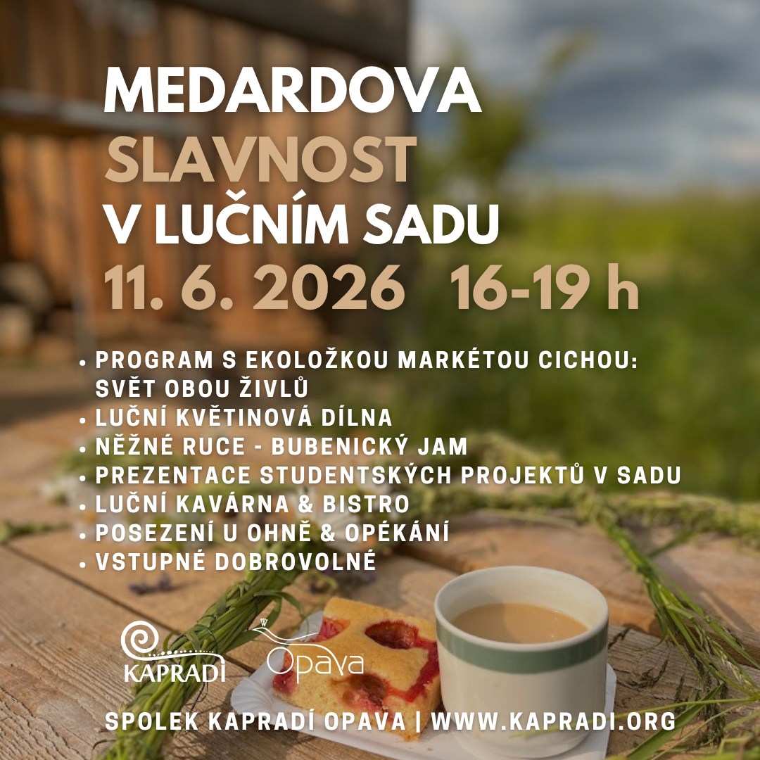 MEDARDOVA SLAVNOST